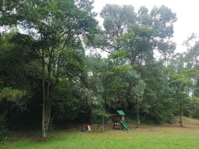 parque jardin